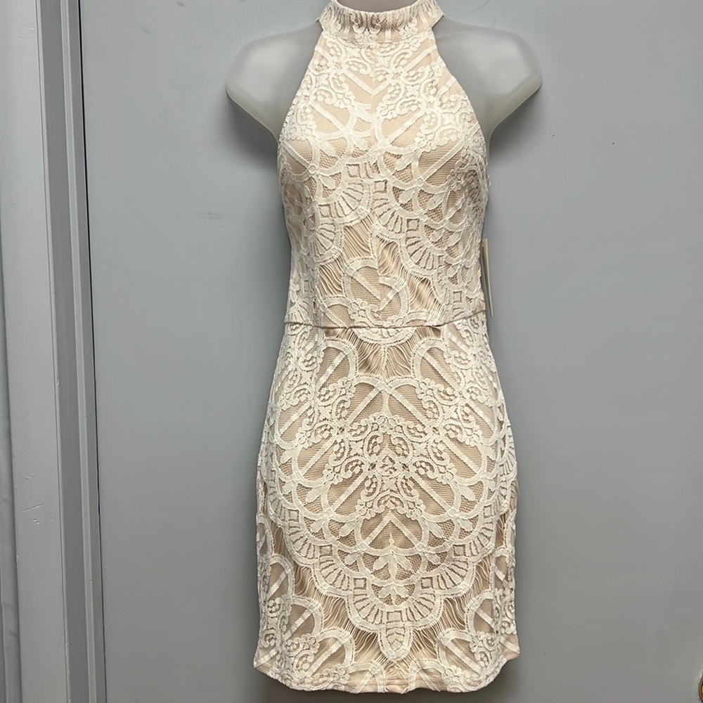 NWT Tobi Women’s Sleeveless Lace Overlayed Dress
